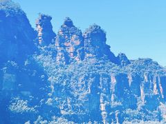 -热带雨林自然公园