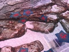 -沈阳海洋探索中心