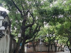 -福州市仓山小学