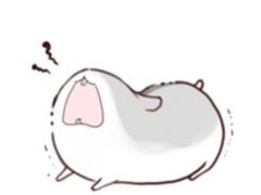 -红跑车HPCBAKERY(汉商店)