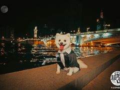 -超宠爱宠物摄影-Super pet