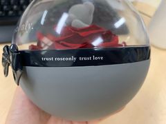 -ROSEONLY诺誓(国际广场购物中心店)