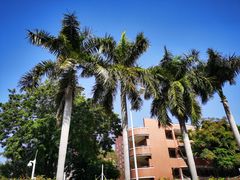 -广州市越秀区育才实验学校