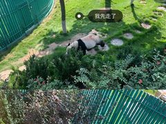 -西霞口神雕山野生动物世界