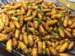 -79号渔船海鲜饭店(华强北店)