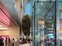 -Apple 零售店(Causeway Bay)
