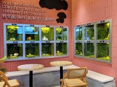 -芸山季·云南野生菌火锅(宝能环球汇店)