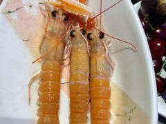 -奔海甄选·活鲜刺身铁板烧自助(太原里店)