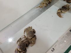 -徐记小怪兽肉蟹煲(中央大街店)