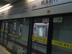 -桃浦新村(地铁站)