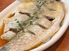 清蒸鲜白鱼-西新饭店(城中店)