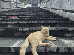 -老君山