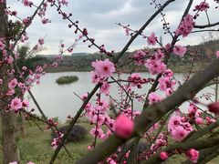 -枫香湖儿童公园