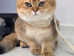 -宠颐生宠物医院·犬猫全科·皮肤科(商业街店)