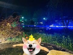 -溧阳天目湖天沐温泉