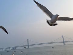 -星海广场