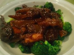 京葱烧海参-首钢一九一九大酒楼(石景山店)