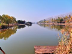 -合肥滨湖国家森林公园