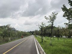 -广东花都湖国家湿地公园