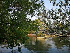 -柳浪闻莺公园