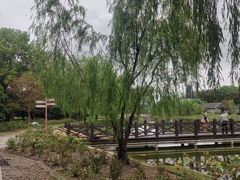 -上海鲜花港