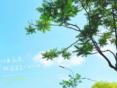 -大润发(梅兰东路店)