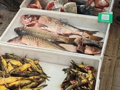 -通海俄式烧烤·俄罗斯大串(嵩山路店)