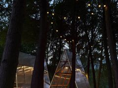 -昆山城市生态森林公园