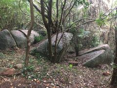 -海南铜鼓岭景区