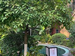 -海兰云天度假区温泉