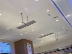-茉莉奶白(广州动漫星城店)