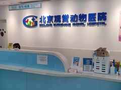-北京观赏动物医院·24小时大型综合·猫专科·异宠专科