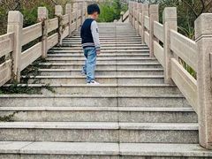 -洋山深水港