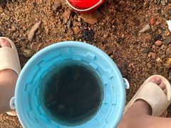 -东戴河风景区-止锚湾