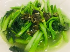 -优之名鹅城