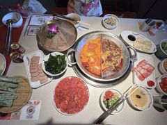 -小龙坎火锅(全球旗舰店)