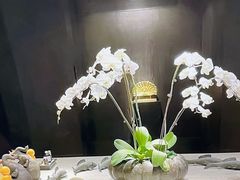 -君悦·SPA养生会所