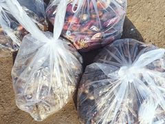 -东戴河风景区-止锚湾