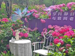 -上海滨江森林公园