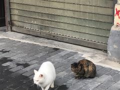-逸桂禾面馆