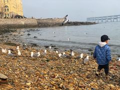 -黑石礁公园