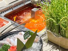 -海底捞火锅(青悦城店)