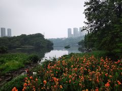 -重庆彩云湖湿地公园
