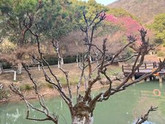 -虞山风景区