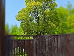 -春花秋色城市公园