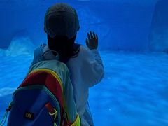 -海合安成都极地海洋公园