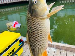 -酷鱼垂钓CLUB(朝阳区博大路店 )