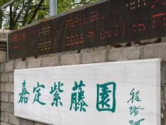 -嘉定紫藤园