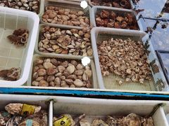 -上海龙吴水胜海发市场