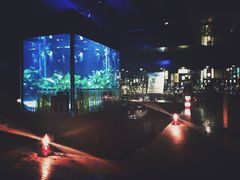 -Strawberry Butterfly草莓蝴蝶日式水果挞